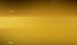 最新沙漠爆料视频下载安装,最新爆料视频深度解析