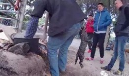 佛山罗村爆料最新消息新闻,突发事件引发关注，详情即将揭晓