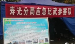 寿光最新爆料消息新闻报道,聚焦民生热点，深度解析事件真相